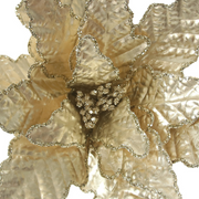 Large champagne poinsettia stem with 45cm flower and 50cm stem for Christmas decorating