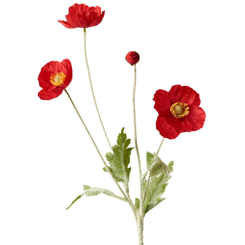 Poppy Iceland Spray Red 60cml