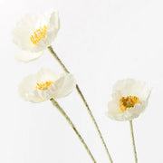 Poppy Iceland Spray White 60cml