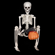 Ronis Poseable Skeleton With Pumpkin and Knife 40Cm