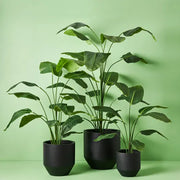 Pot Nomilo (set/3) Black – thumbnail