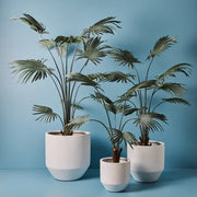 Pot Nomilo (set/3) White – thumbnail