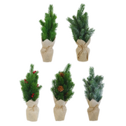 Ronis Potted Pine Tree 36cm