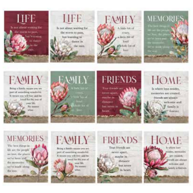 Ronis Protea Inspirational Plaques 14x12x0.9cm Assorted