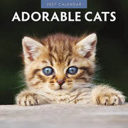 2027 Adorable Cats square wall calendar with cute cat photography – thumbnail