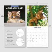 2027 Square Wall Calendar Adorable Cats image 3 – thumbnail