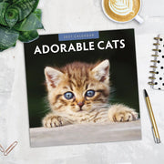 2027 Square Wall Calendar Adorable Cats image 5 – thumbnail