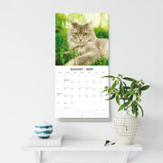 2027 Square Wall Calendar Adorable Cats image 6 – thumbnail
