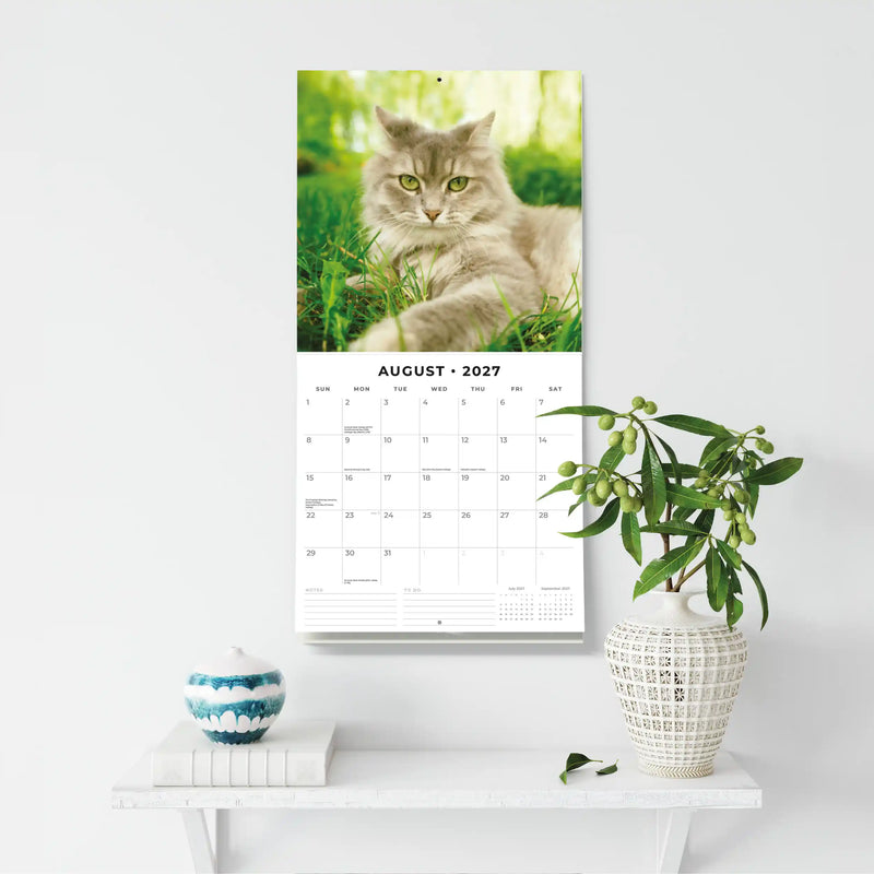 2027 Square Wall Calendar Adorable Cats image 6