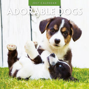 2027 Adorable Dogs square wall calendar with cute dog photography – thumbnail