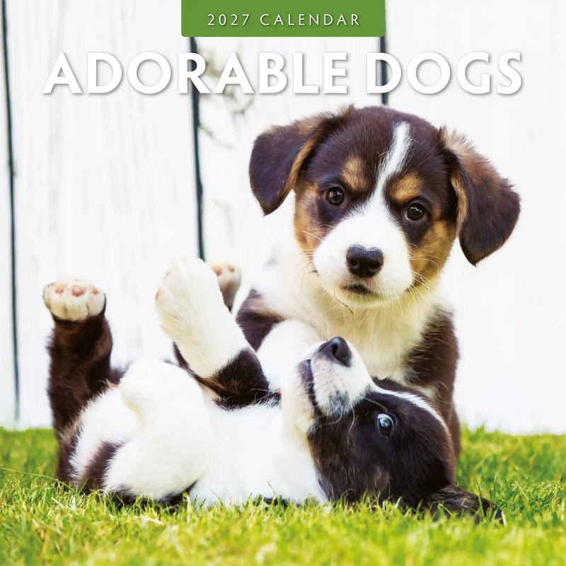2027 Adorable Dogs square wall calendar with cute dog photography