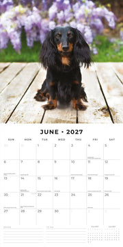 2027 Square Wall Calendar Adorable Dogs image 4 – thumbnail