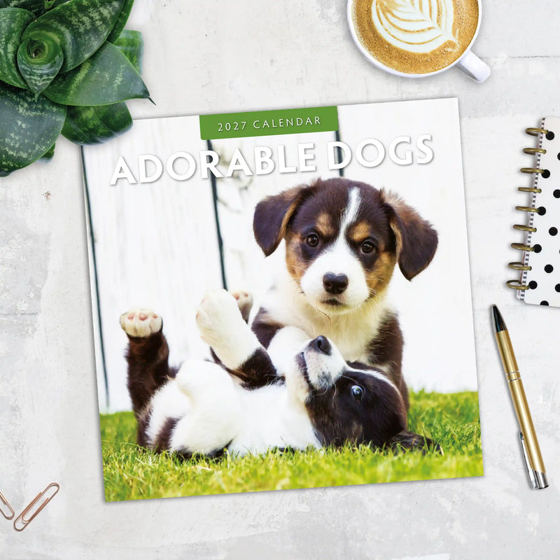 2027 Square Wall Calendar Adorable Dogs image 5