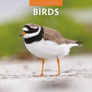 2027 Birds square wall calendar with bird photography – thumbnail