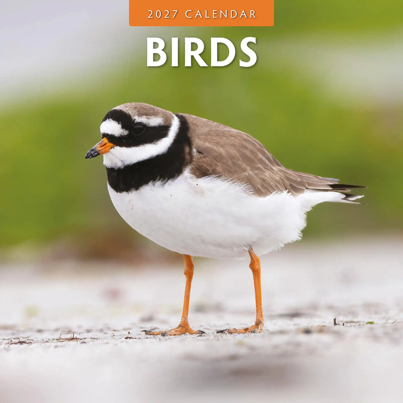 2027 Birds square wall calendar with bird photography
