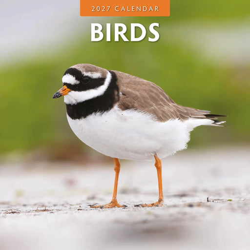2027 Birds square wall calendar with bird photography
