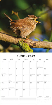 2027 Square Wall Calendar Birds image 4 – thumbnail