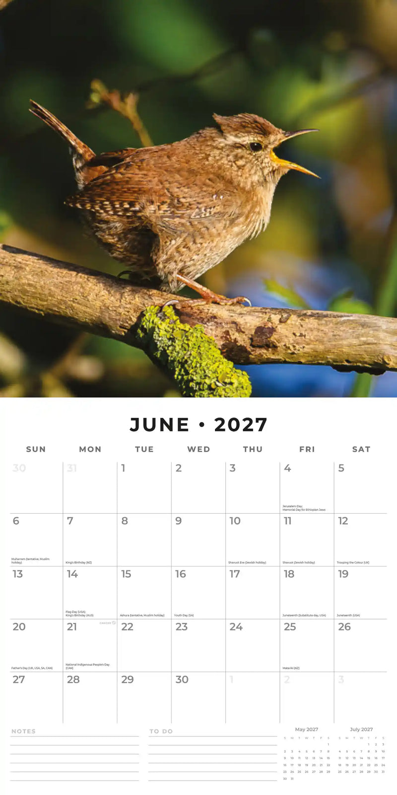 2027 Square Wall Calendar Birds image 4