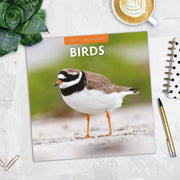 2027 Square Wall Calendar Birds image 5 – thumbnail