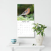 2027 Square Wall Calendar Birds image 6 – thumbnail