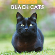 2027 square wall calendar featuring black cats – thumbnail