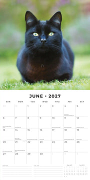 2027 Square Wall Calendar Black Cats image 4 – thumbnail