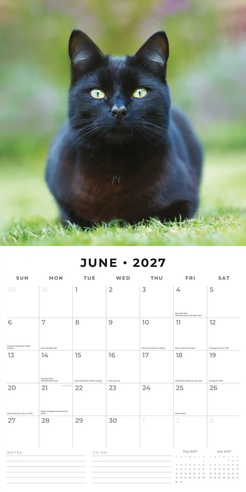 2027 Square Wall Calendar Black Cats image 4