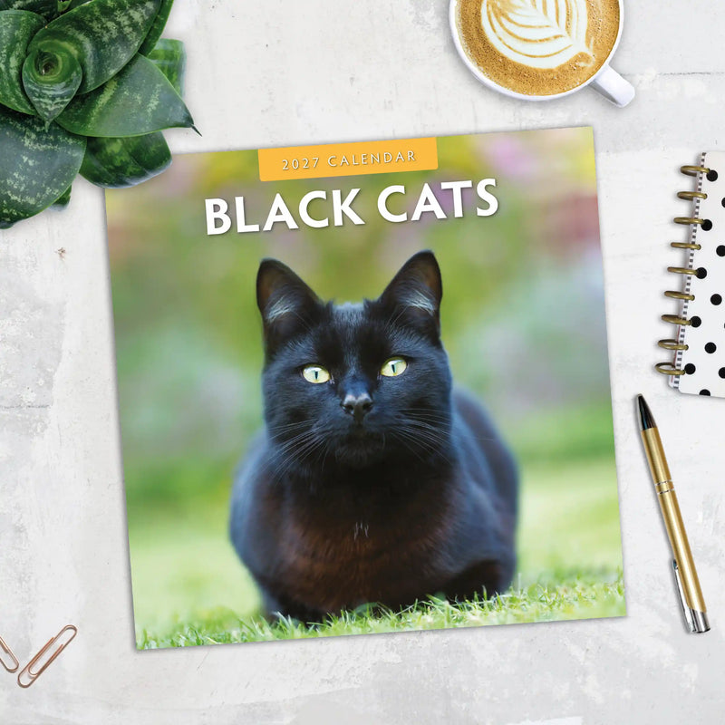 2027 Square Wall Calendar Black Cats image 5