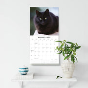 2027 Square Wall Calendar Black Cats image 6 – thumbnail