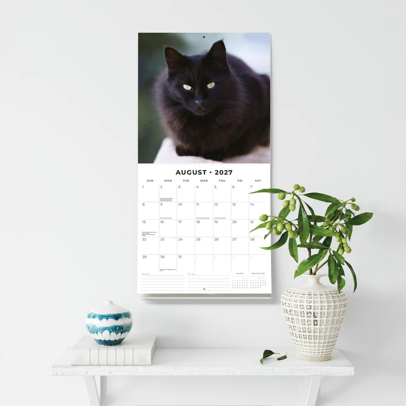 2027 Square Wall Calendar Black Cats image 6