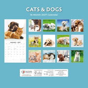 2027 Square Wall Calendar Cats & Dogs image 2 – thumbnail