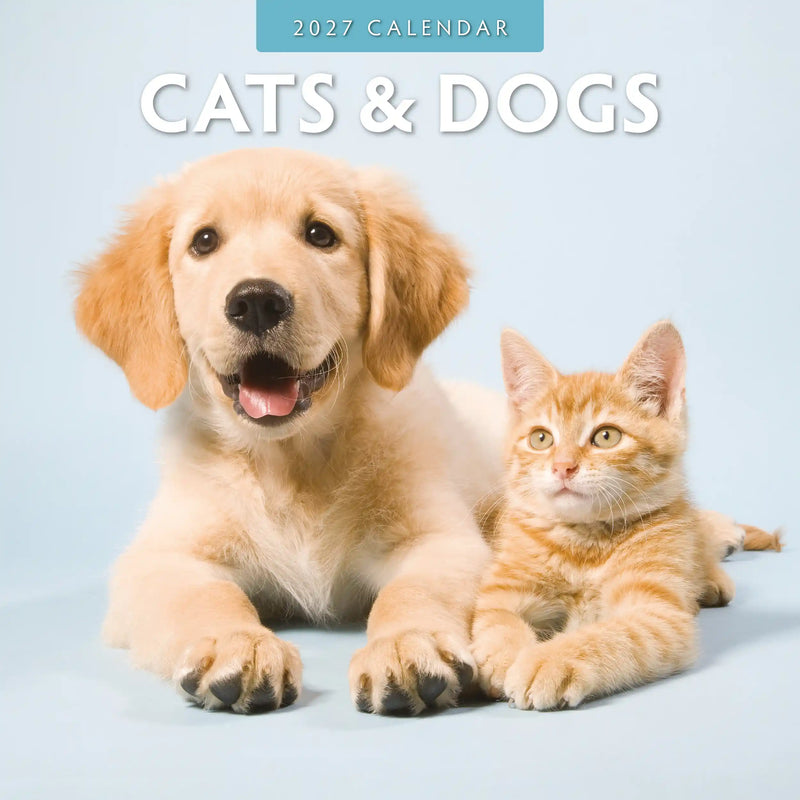 2027 Cats and Dogs square wall calendar with pet photography