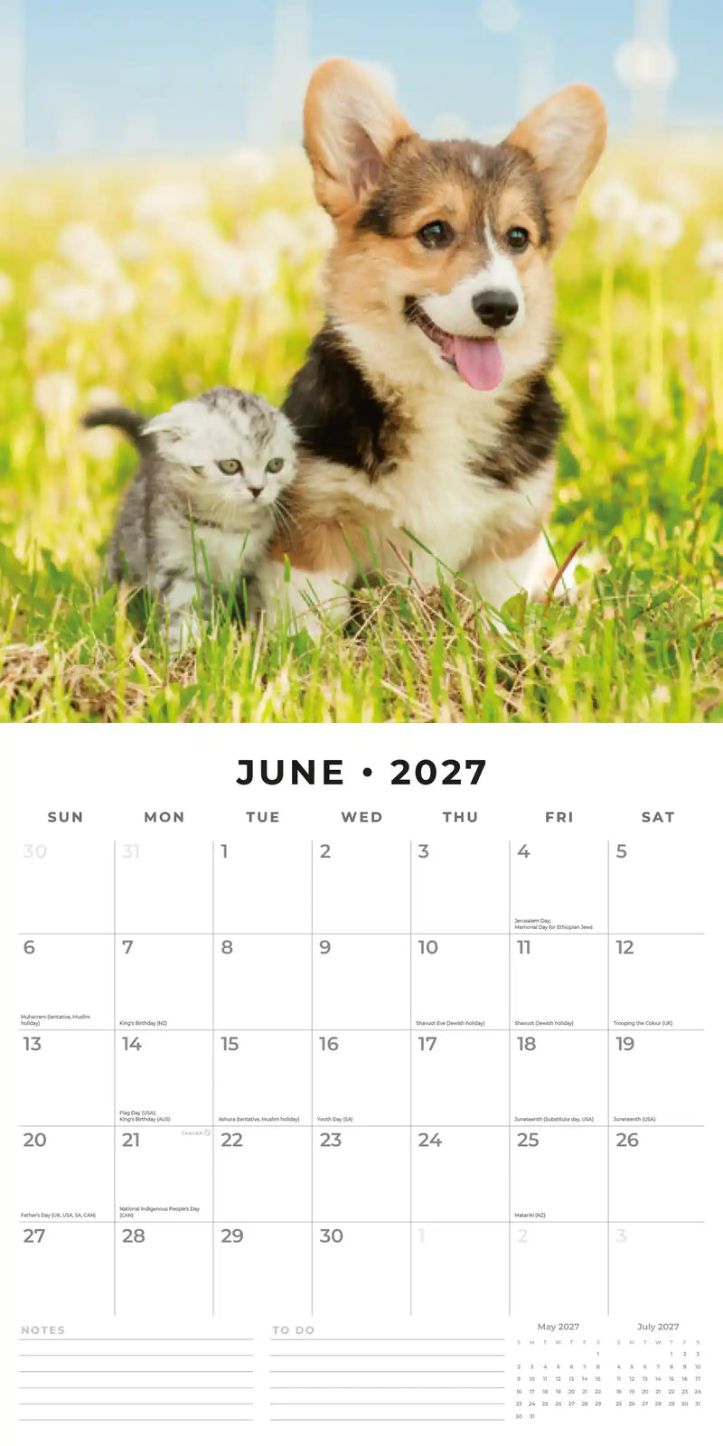2027 Square Wall Calendar Cats & Dogs image 4