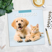 2027 Square Wall Calendar Cats & Dogs image 5 – thumbnail