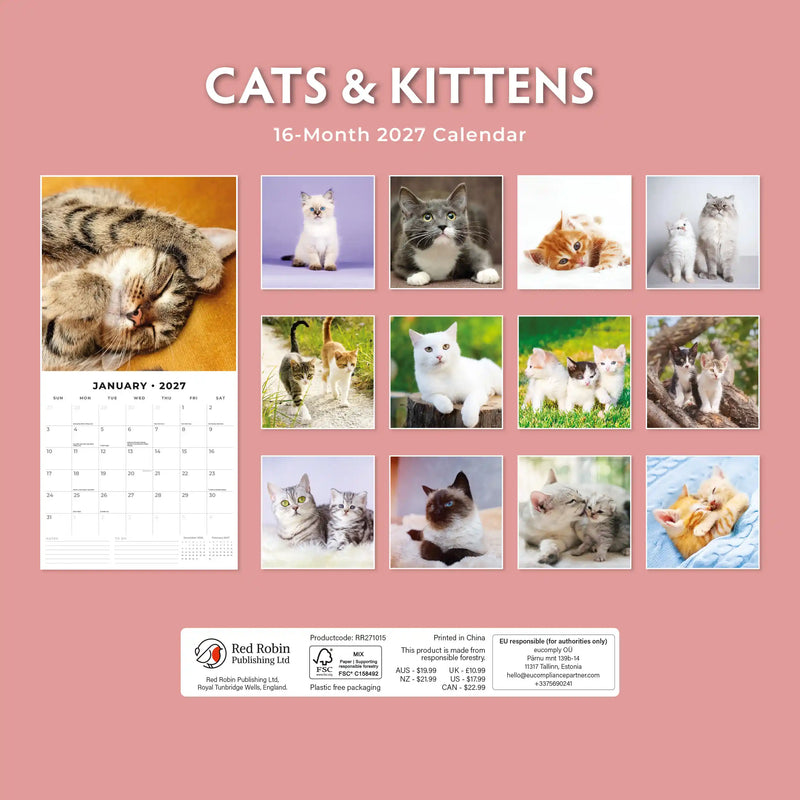 2027 Square Wall Calendar Cats & Kittens image 2