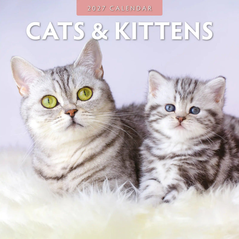 2027 Cats and Kittens square wall calendar with feline photography