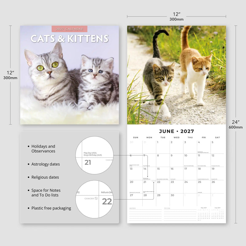 2027 Square Wall Calendar Cats & Kittens image 3