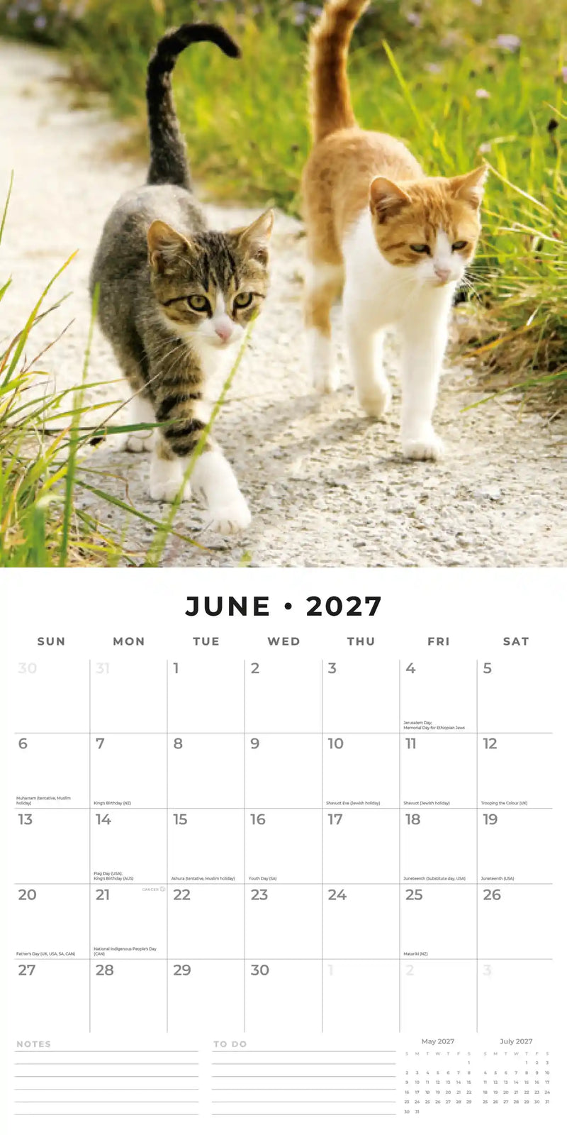 2027 Square Wall Calendar Cats & Kittens image 4