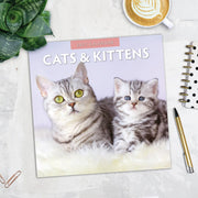 2027 Square Wall Calendar Cats & Kittens image 5 – thumbnail