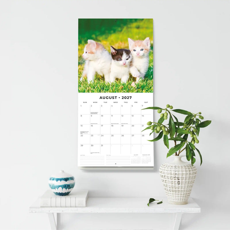 2027 Square Wall Calendar Cats & Kittens image 6