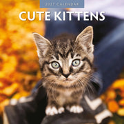 2027 square wall calendar featuring cute kittens – thumbnail