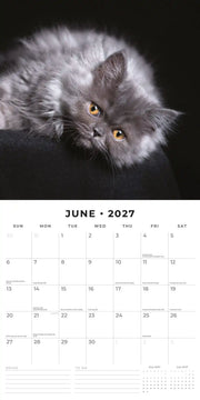 2027 Square Wall Calendar Cute Kittens image 4 – thumbnail