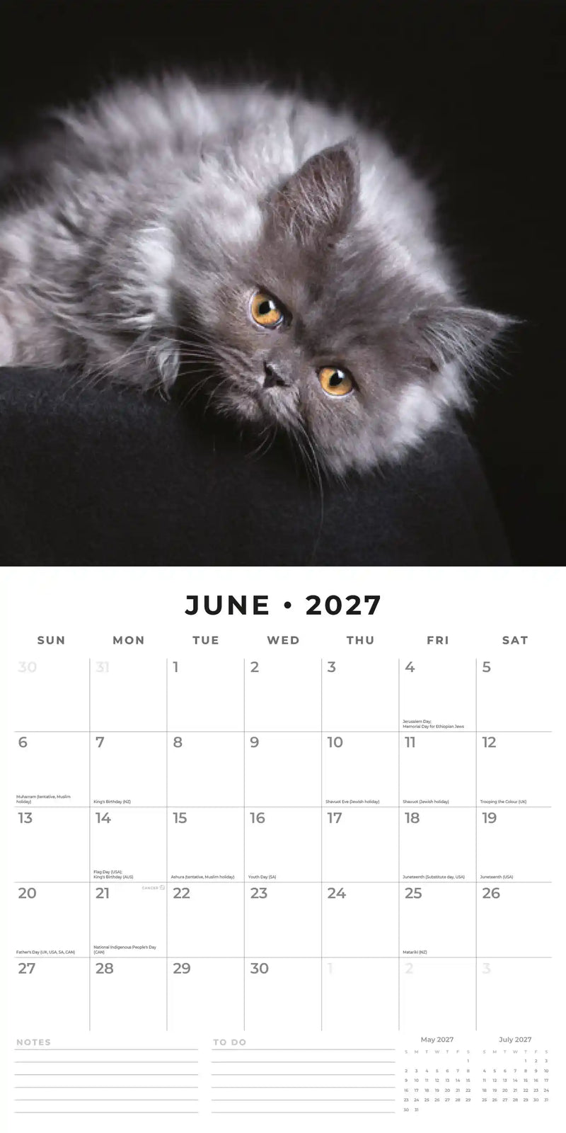 2027 Square Wall Calendar Cute Kittens image 4