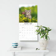 2027 Square Wall Calendar Cute Kittens image 6 – thumbnail