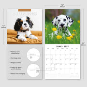 2027 Square Wall Calendar Cute Puppies image 3 – thumbnail