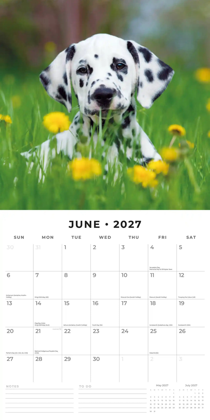 2027 Square Wall Calendar Cute Puppies image 4