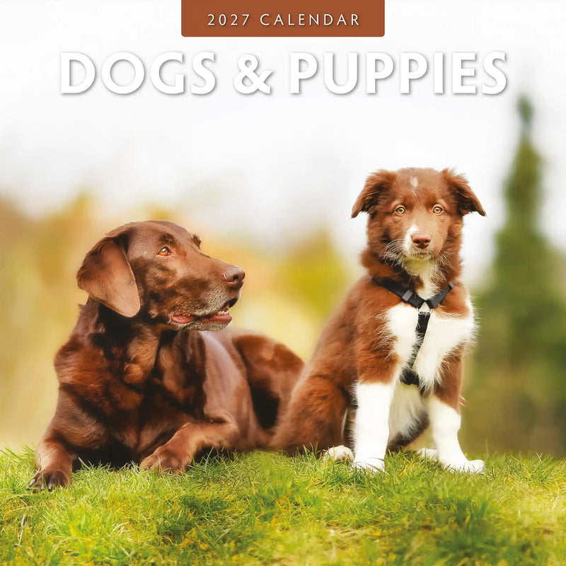 2027 Dogs and Puppies square wall calendar with canine photography