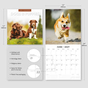 2027 Square Wall Calendar Dogs & Puppies image 3 – thumbnail