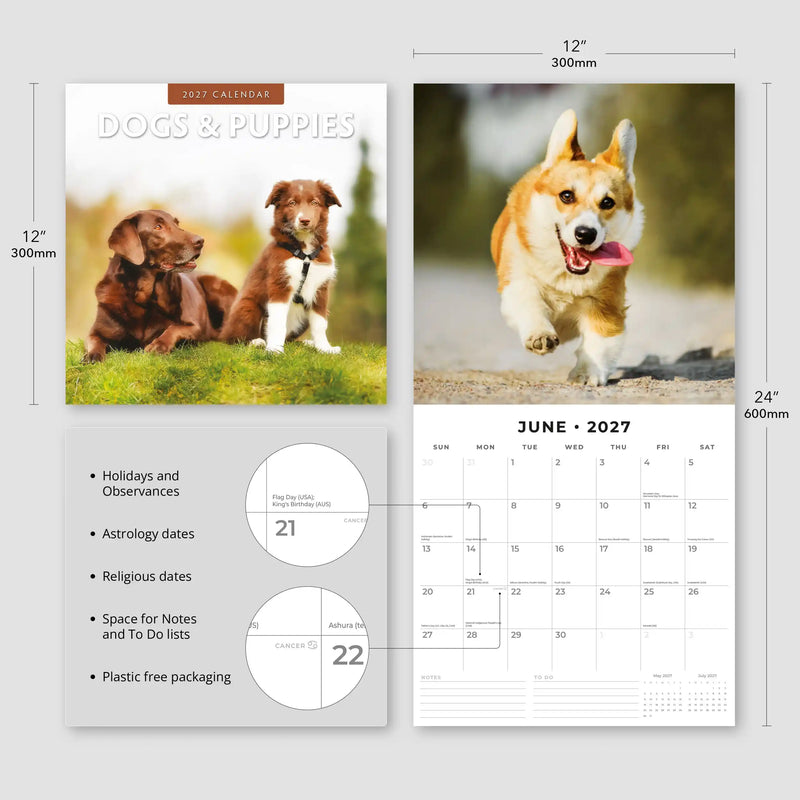 2027 Square Wall Calendar Dogs & Puppies image 3