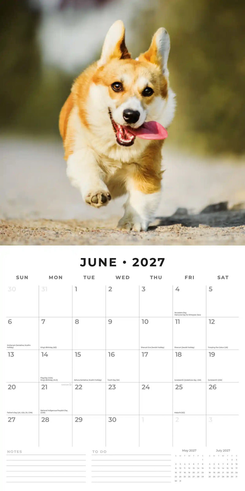 2027 Square Wall Calendar Dogs & Puppies image 4